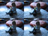 MVI_2141