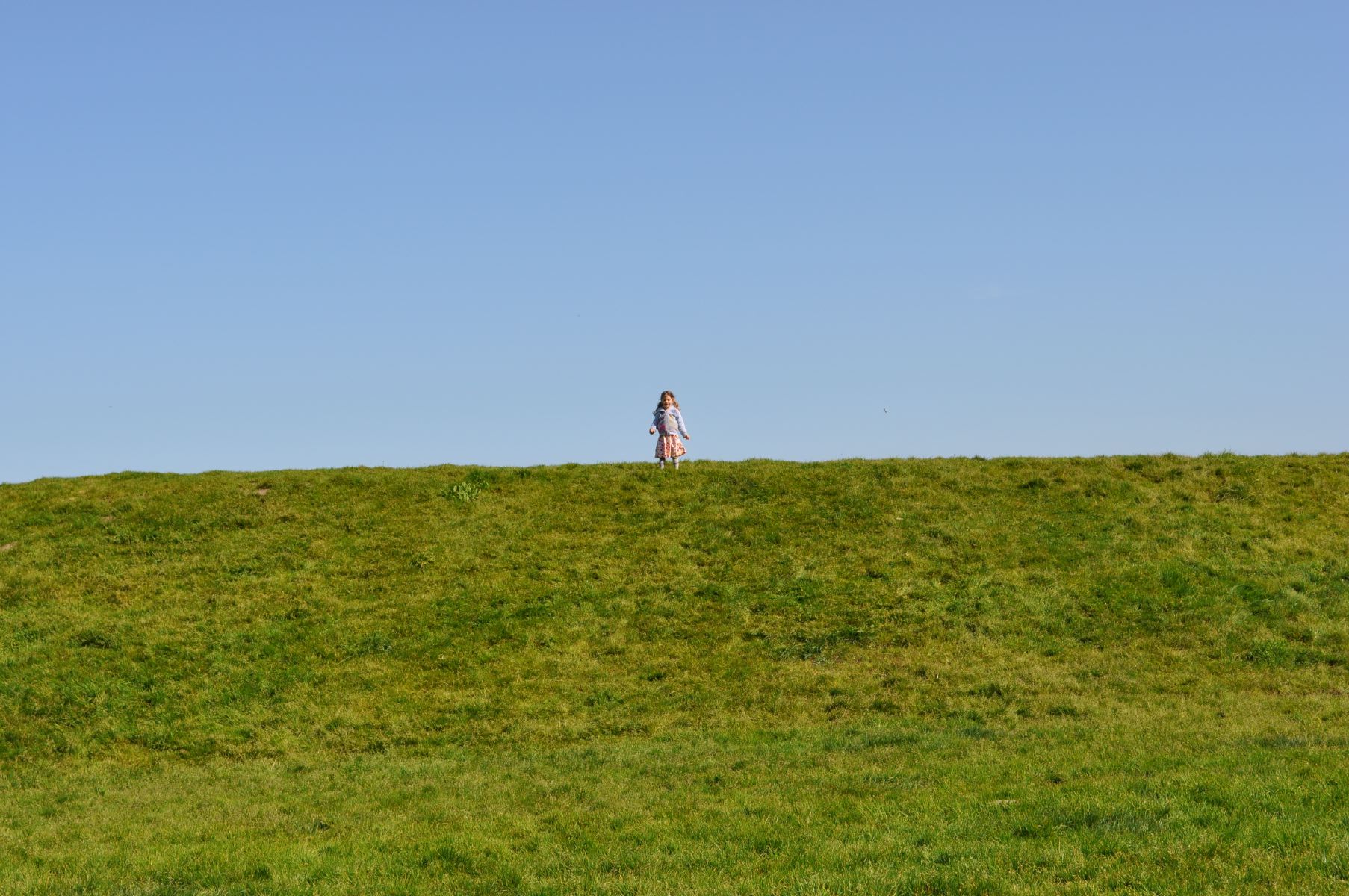 DSC_0208