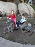 IMG_20110201_160626