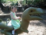 IMG_20110811_094910