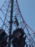 IMG_20160725_155646