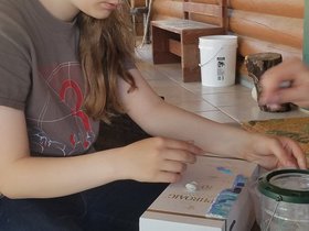 20200727_162655.jpg