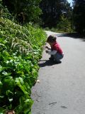 IMG_20110430_152426