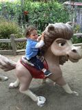 IMG_20110716_145227