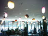 deyoung_cafe