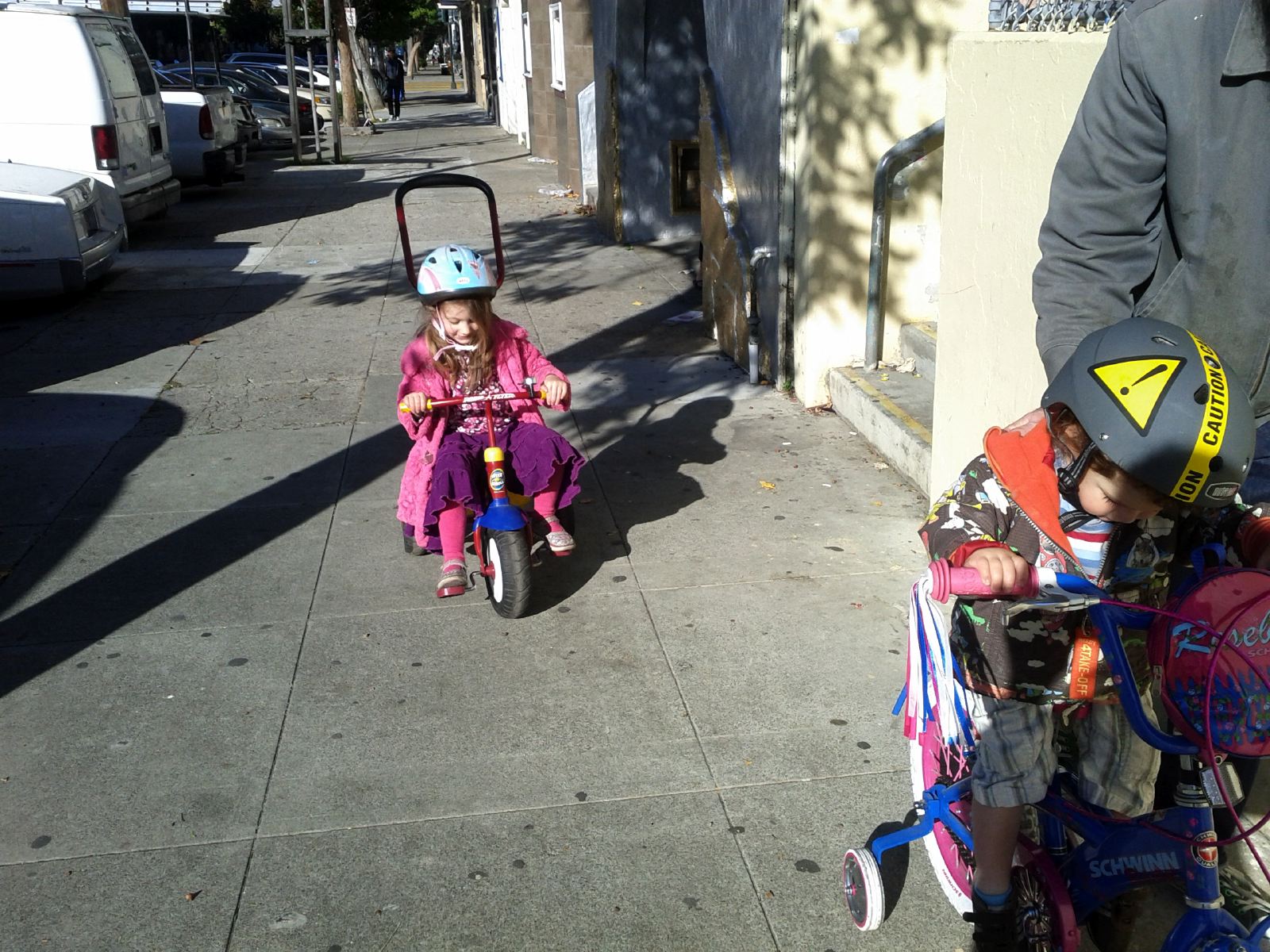 IMG_20111204_134910