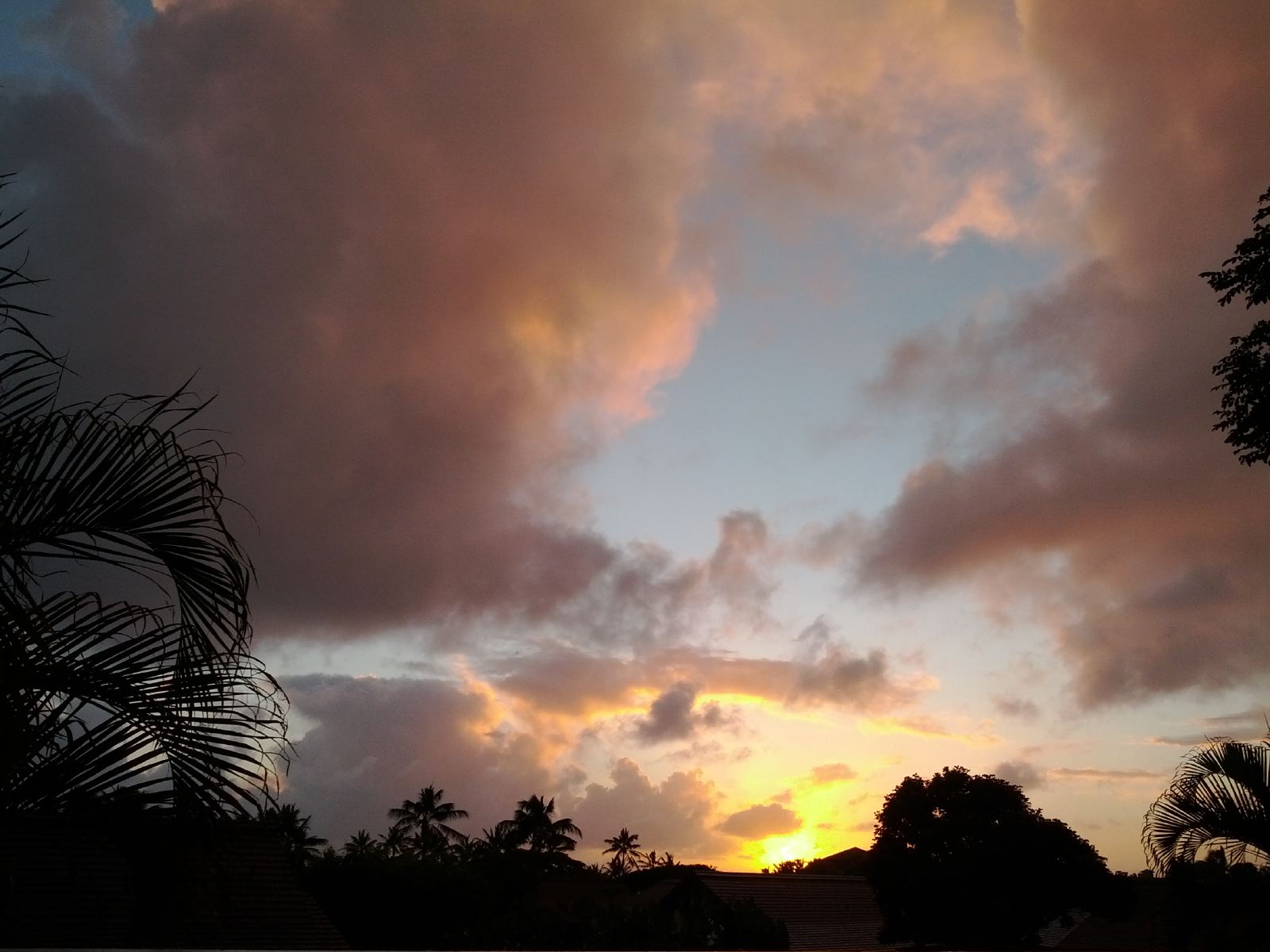 IMG_20111222_175701