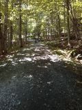 IMG_20140710_104013