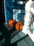 IMG_20151031_114710