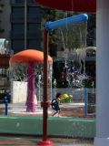 IMG_20160228_105242