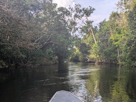PXL_20240712_195840974.jpg