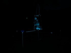 PXL_20240721_075108269.jpg