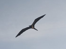 PXL_20240910_115622564.jpg